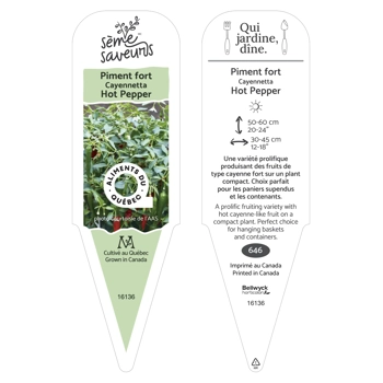 Plant de Piment Cayanetta