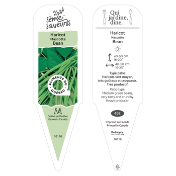 Plant d'Haricot Mascotte