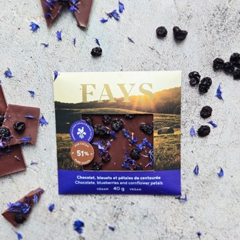 Milk chocolate, blueberries and cornflower petals