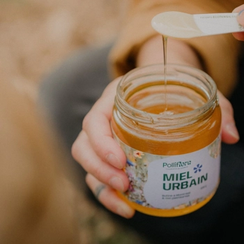 Miel Toutes Fleurs