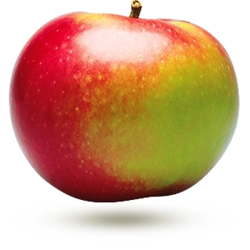 pomme mcintosh