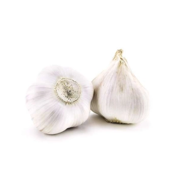 Quebec Garlic