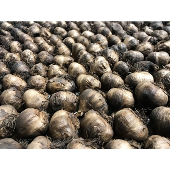 Organic black garlic (Bulk)