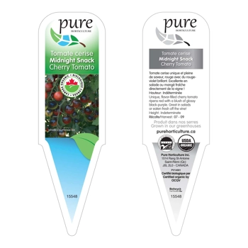 TOMATE CERISE MIDNIGHT SNACK BIOLOGIQUE EN POT