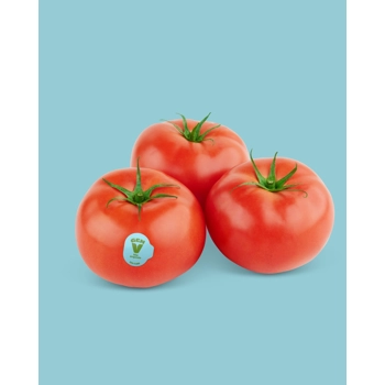 Tomates beef biologiques