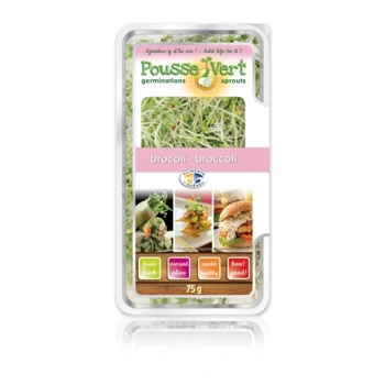 Pousses de Brocoli