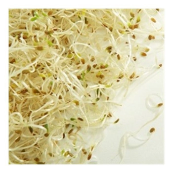 Germes De Luzerne Alfalfa Bio