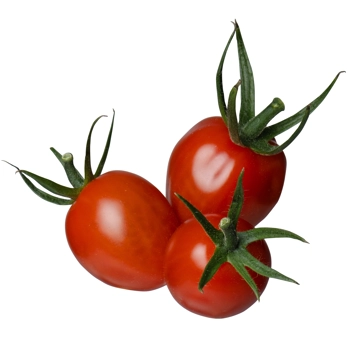 Tomates Raisins Rouges