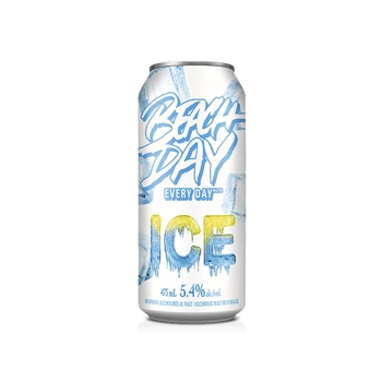 Beach Day EveryDay Ice