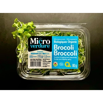Brocoli - Micro pousse