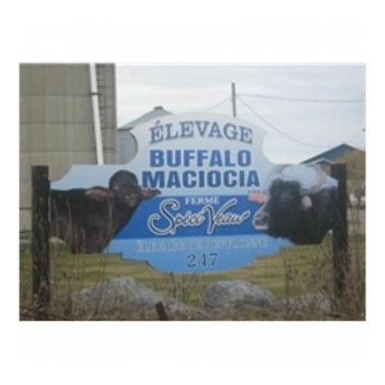 Élevages Buffalo Maciocia ltée