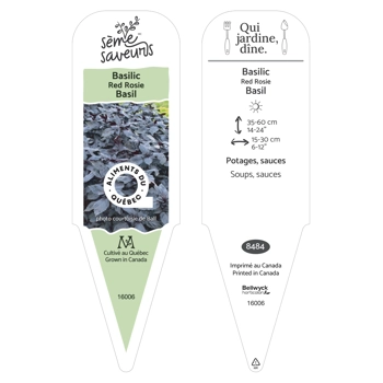 Plant de Basilic Red Rosie