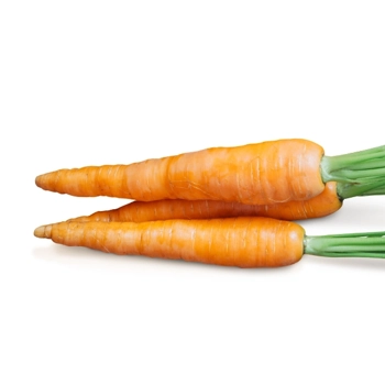 Carotte