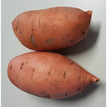 Patates Douces (sans pesticide)