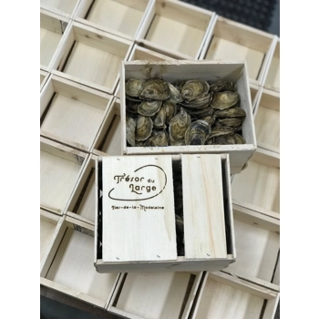 Huîtres Cocktail 2.5''