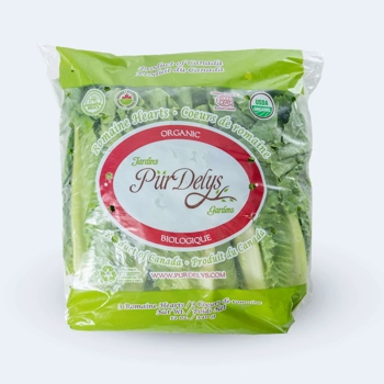 Coeurs de romaine biologique