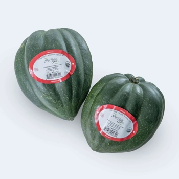 Courge acorn biologique