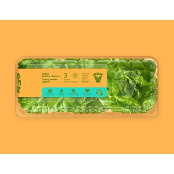 Laitue Boston - 3 laitues