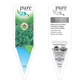 ESTRAGON BIOLOGIQUE EN POT