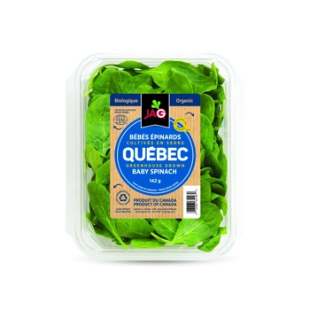 Organic Baby Spinach