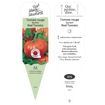 Plant de Tomate Big Beef