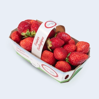 Fraise biologique