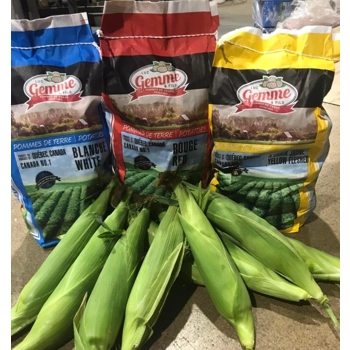 Pommes de terre jaune