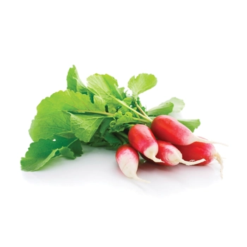 French Radishes