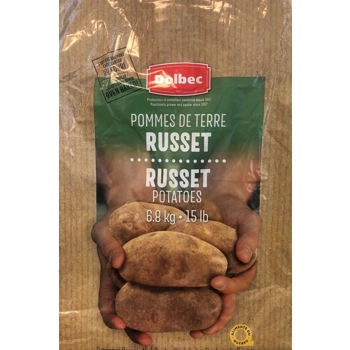 Pomme de terre Russet