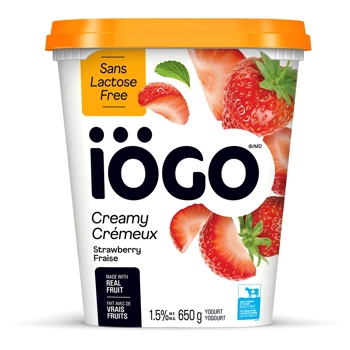 CREAMY LACTOSE FREE STRAWBERRY YOGURT