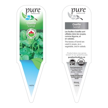 OSEILLE BIOLOGIQUE EN POT