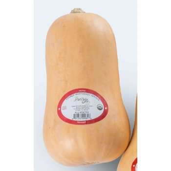 Organic Butternut Squash