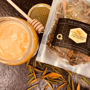 Thé du Labrador séché