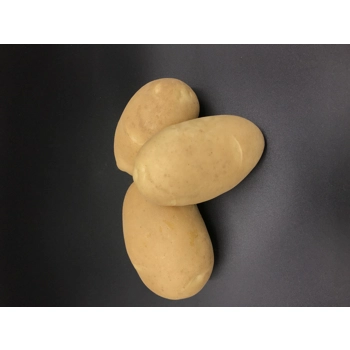 Pomme de terre longue