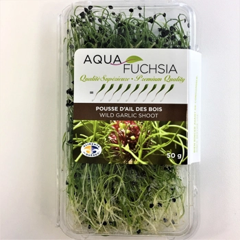 Pousse de Ciboulette À L'ail