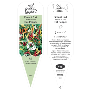 Plant de Piment Basket of Fire