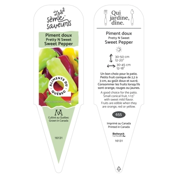 Plant de Piment Pretty N Sweet