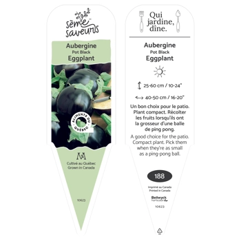 Plant d'Aubergine Pot Black