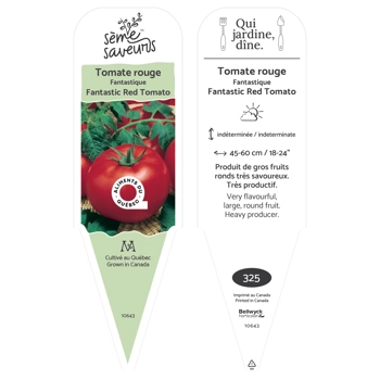 Plant de Tomate Fantastique