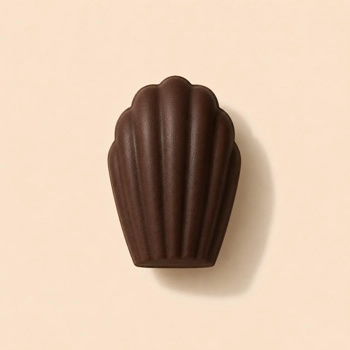 Madeleine végan chocolat
