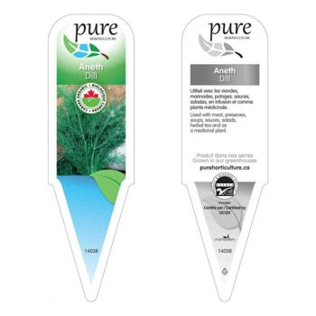 ANETH BIOLOGIQUE EN POT