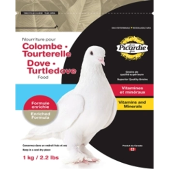 Colombe tourterelle vitaminé