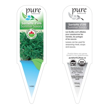 SARIETTE D'ÉTÉ BIOLOGIQUE EN POT