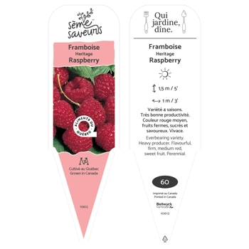 Plant de Framboise Heritage