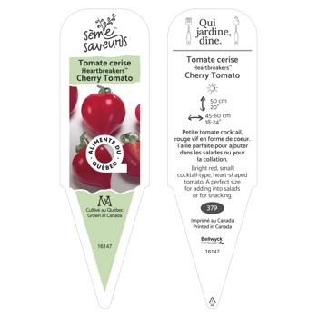 Plant de tomate Heartbreakeers