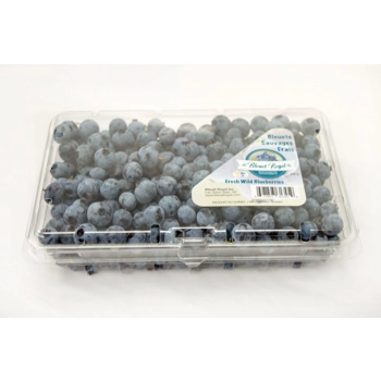 Copy - Bleuets sauvages frais