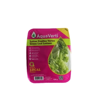 Laitue Feuille Verte