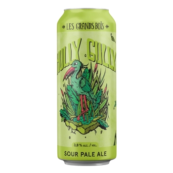 Bière Hully Gully Sour Pale Ale