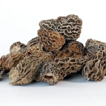Morilles déshydratées