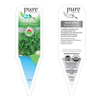 PERSIL ITALIEN BIOLOGIQUE EN POT.